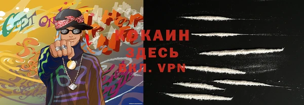 шишки Арсеньев
