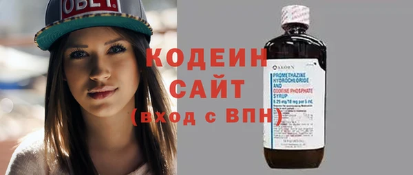 шишки Арсеньев
