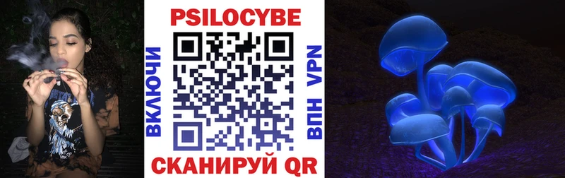 Галлюциногенные грибы прущие грибы KRAKEN зеркало Малмыж